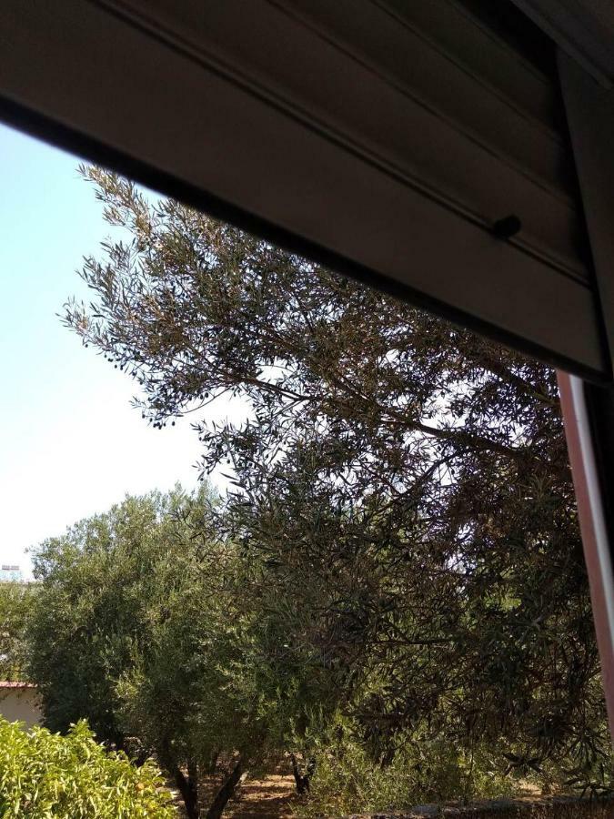 Nikitas Apartment 科斯镇 外观 照片
